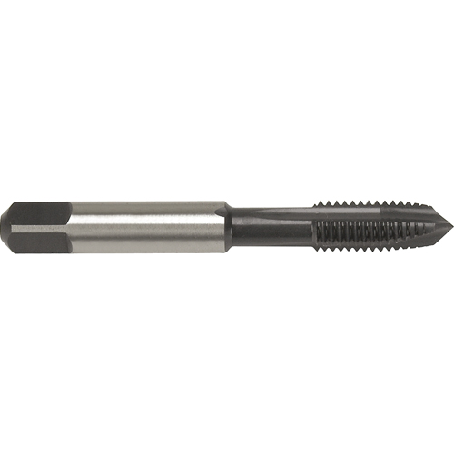 Warwick Ground Thread Hand Tap Distribution Élite MP