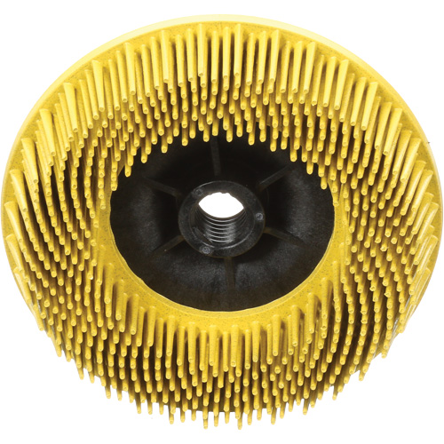 Disques radiaux bristle pour meuleuses angulaires Scotch-Brite, C&eacute;ramique, Grain 80, 4-1/2" dia. Distribution Élite MP