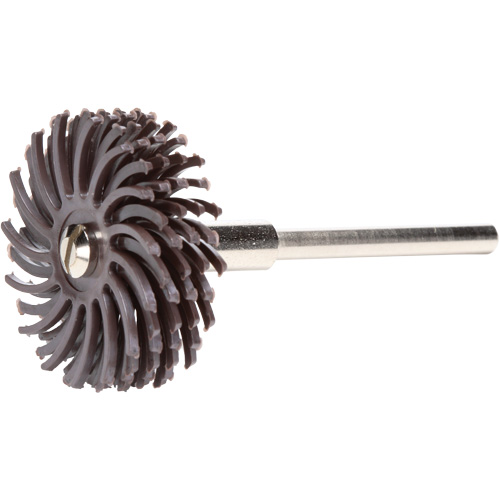 Scotch-Brite Radial Bristle Discs, Ceramic, 36X Grit, 1" Dia. Distribution Élite MP