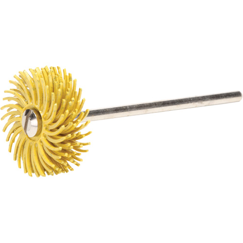Scotch-Brite Radial Bristle Discs, 80X Grit, 3/4" Dia. Distribution Élite MP