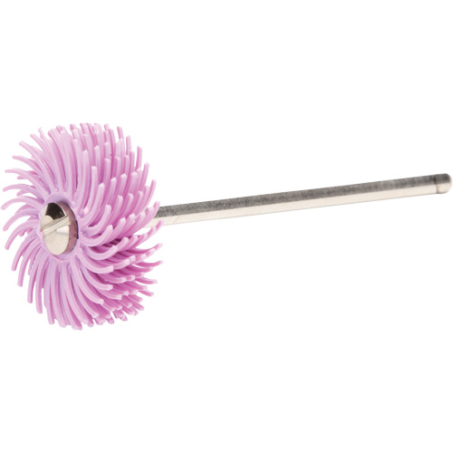 Scotch-Brite Radial Bristle Discs, Pumice Grit, 3/4" Dia. Distribution Élite MP