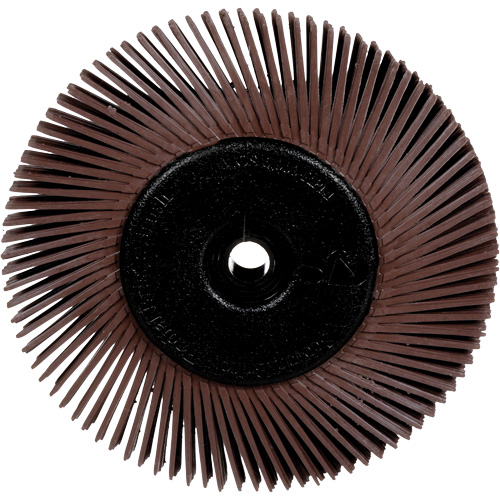 Brosses radiales bristle pour meuleuses d'&eacute;tabli, Grain 36X, 6" dia. Distribution Élite MP