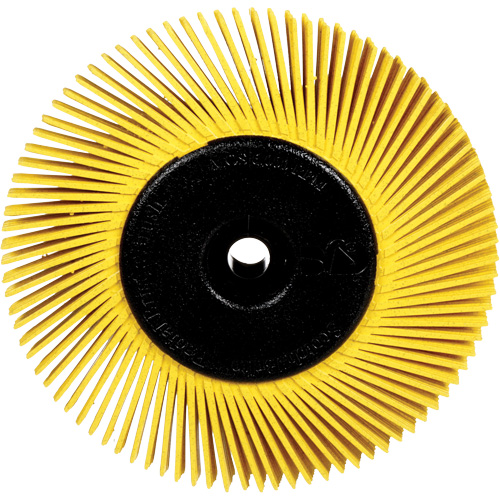 Brosses radiales bristle pour meuleuses d'&eacute;tabli, Grain 80X, 6" dia. Distribution Élite MP