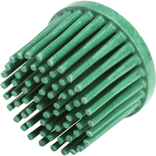 Roloc Bristle Discs, Ceramic, 50 Grit, 1" Dia. Distribution Élite MP