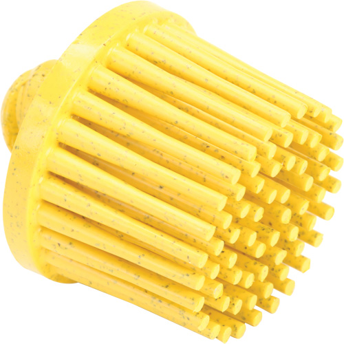 Disques bristle Roloc, Grain 80, 1" dia. Distribution Élite MP