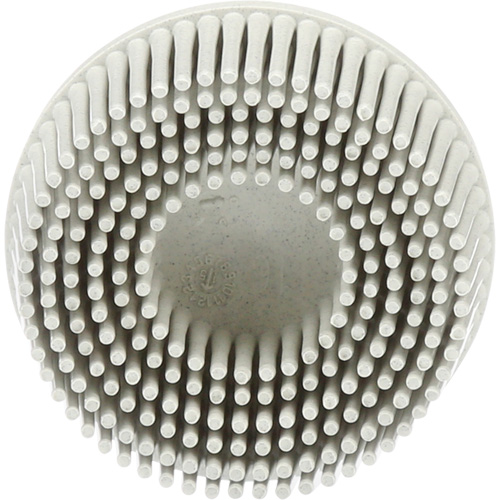 Scotch-Brite Roloc Bristle Discs, 120 Grit, 2" Dia. Distribution Élite MP