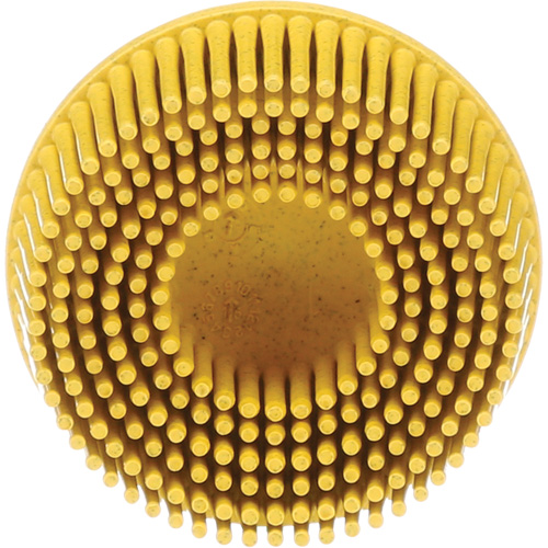 Scotch-Brite Roloc Bristle Discs, 80 Grit, 2" Dia. Distribution Élite MP