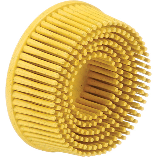 Scotch-Brite Roloc Bristle Discs, 80 Grit, 2" Dia. Distribution Élite MP