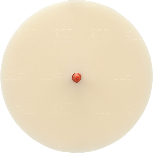 Disque Scotch-Brite 7502 pour retrait de colle et de bandes de moulage, 6" dia. Distribution Élite MP
