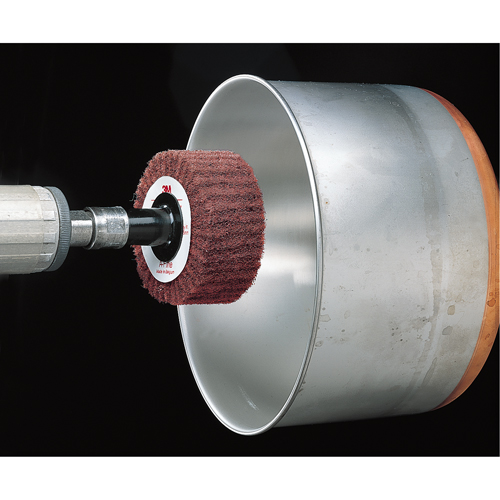 Brosses &agrave; lamelles Scotch-Brite Distribution Élite MP