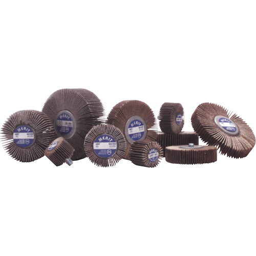 Flap Wheels - Mandrel Mounted Flap Wheels, Aluminum Oxide/Ceramic, 60 Grit, 1" x 1" x 1/4" Distribution Élite MP