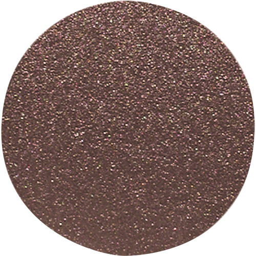 Disque de ponçage pour le bois, 20" dia., Grain 100 Distribution Élite MP