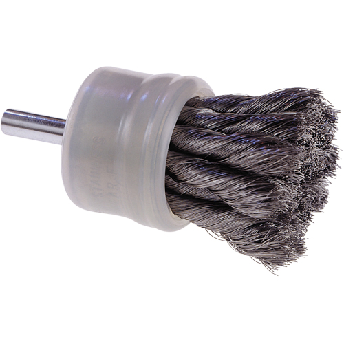 Scuf-Guard Coated Brushes, 1/2" Dia., 0.006 Wire Dia. Distribution Élite MP