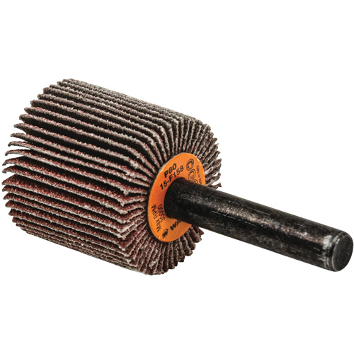 Flap Wheels-Coolcut Flap Wheels, Aluminum Oxide, 80 Grit, 1" x 1" x 1/4" Distribution Élite MP