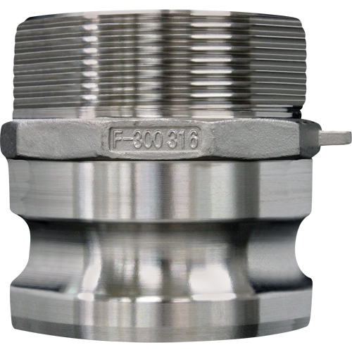 Accouplement &agrave; came et rainure, Acier inoxydable, Type F, 2-1/2", NPT m&acirc;le, 150 psi Distribution Élite MP