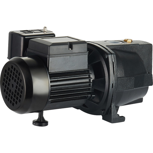 Dual Voltage Cast Iron Shallow Well Jet Pump, 115 V/230 V, 1100 GPH, 1 HP Distribution Élite MP