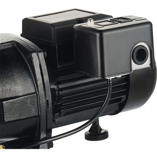 Dual Voltage Cast Iron Shallow Well Jet Pump, 115 V/230 V, 1100 GPH, 1 HP Distribution Élite MP
