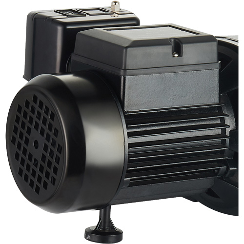 Dual Voltage Cast Iron Shallow Well Jet Pump, 115 V/230 V, 1100 GPH, 1 HP Distribution Élite MP