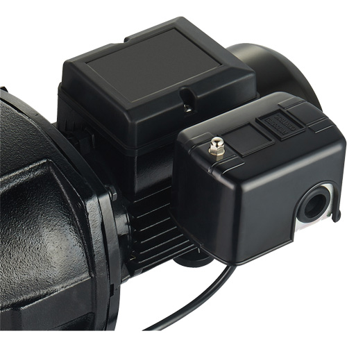 Dual Voltage Cast Iron Shallow Well Jet Pump, 115 V/230 V, 1100 GPH, 1 HP Distribution Élite MP