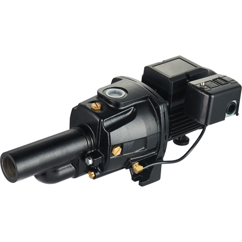 Dual Voltage Cast Iron Convertible Jet Pump, 115 V/230 V, 1100 GPH, 1/2 HP Distribution Élite MP