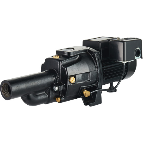 Dual Voltage Cast Iron Convertible Jet Pump, 115 V/230 V, 1100 GPH, 1/2 HP Distribution Élite MP