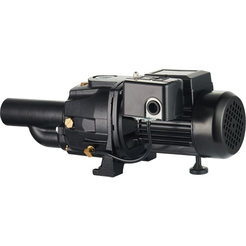 Dual Voltage Cast Iron Convertible Jet Pump, 115 V/230 V, 1100 GPH, 1/2 HP Distribution Élite MP