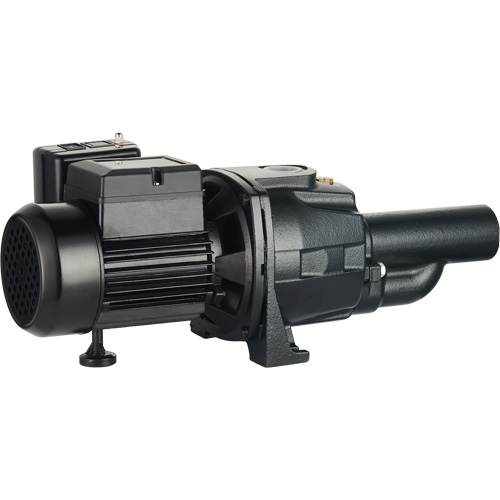 Dual Voltage Cast Iron Convertible Jet Pump, 115 V/230 V, 1100 GPH, 1/2 HP Distribution Élite MP