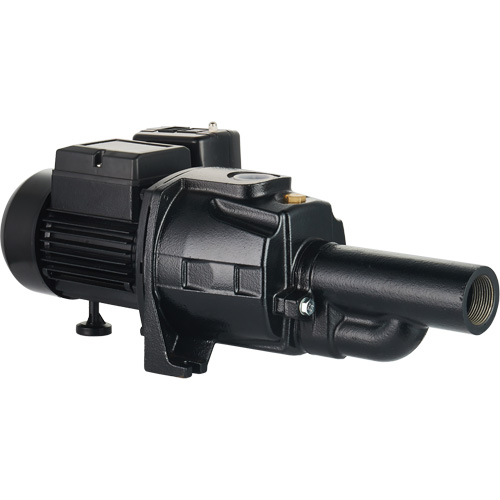 Dual Voltage Cast Iron Convertible Jet Pump, 115 V/230 V, 1100 GPH, 1/2 HP Distribution Élite MP