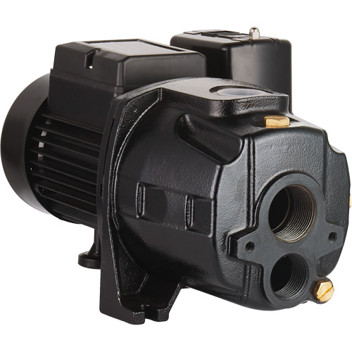 Dual Voltage Cast Iron Convertible Jet Pump, 115 V/230 V, 1100 GPH, 1/2 HP Distribution Élite MP