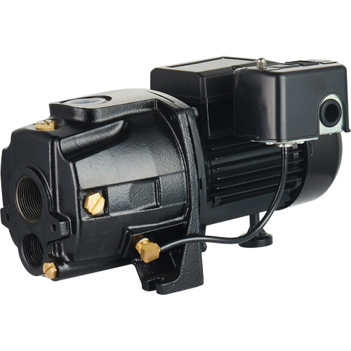 Dual Voltage Cast Iron Convertible Jet Pump, 115 V/230 V, 1100 GPH, 1/2 HP Distribution Élite MP
