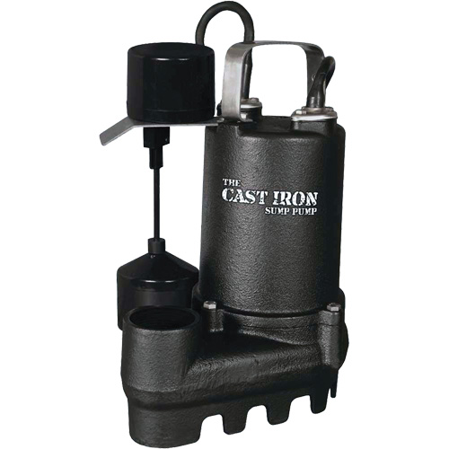 Pompe de puisard submersible en fonte avec interrupteur &agrave; flotteur vertical, 67 gal./min, 33 V, 5 A, 1/3 CV Distribution Élite MP