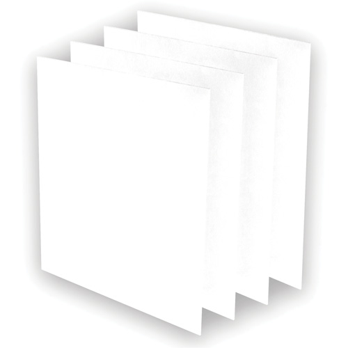 Pr&eacute;-filtres AeraMax Pro AM3 ou AM4, 13,75" la x 0,13" p x 14,38" h Distribution Élite MP