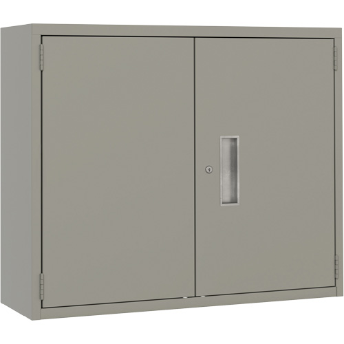 Wall Mounted Cabinet, Steel, 2 Shelves, 30" H x 36" W x 12" D, Grey Distribution Élite MP