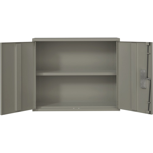 Wall Mounted Cabinet, Steel, 2 Shelves, 30" H x 36" W x 12" D, Grey Distribution Élite MP