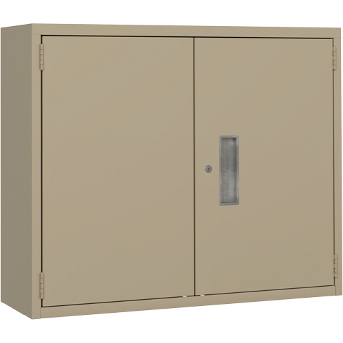 Wall Mounted Cabinet, Steel, 2 Shelves, 30" H x 36" W x 12" D, Beige Distribution Élite MP