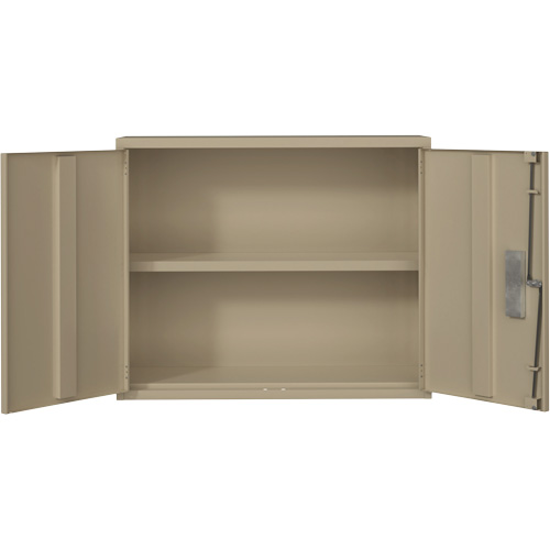 Wall Mounted Cabinet, Steel, 2 Shelves, 30" H x 36" W x 12" D, Beige Distribution Élite MP