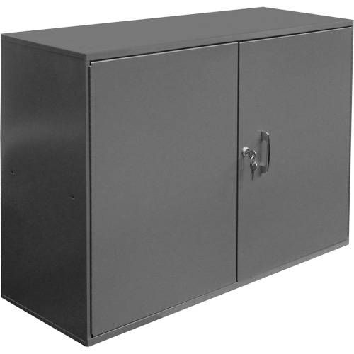 Armoire pour accessoires abrasifs, Acier, 2 tiroirs, 33-3/4" x 11-7/8" x 23-7/8", Gris Distribution Élite MP