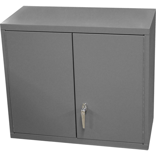 Wall-Mounted Cabinet, 27" H x 13-11/16" W x 35-7/8" D, 2 Shelves, Steel, Grey Distribution Élite MP