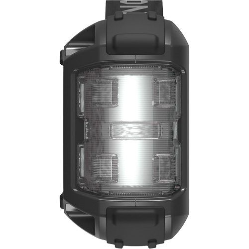Survolteur, banque d'alimentation et lampe de poche JumpSurge3000 Distribution Élite MP