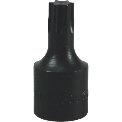 Embout Torx&reg; T-50 Distribution Élite MP