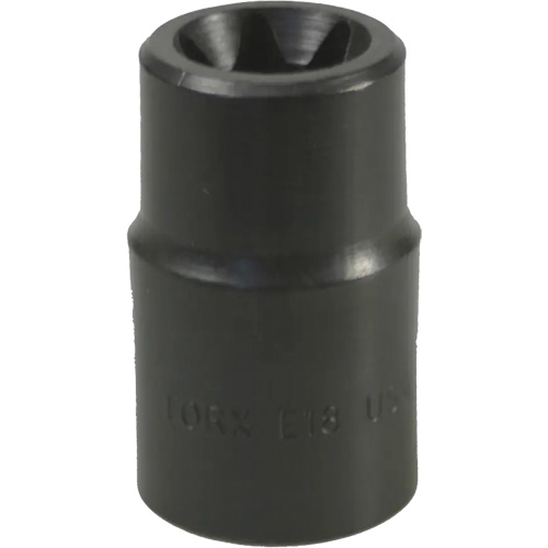 E-18 Torx&reg; Socket Distribution Élite MP