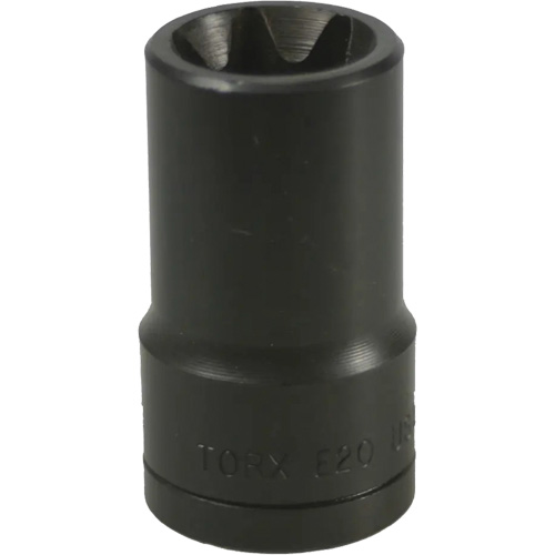 Douille Torx&reg; E-20 Distribution Élite MP