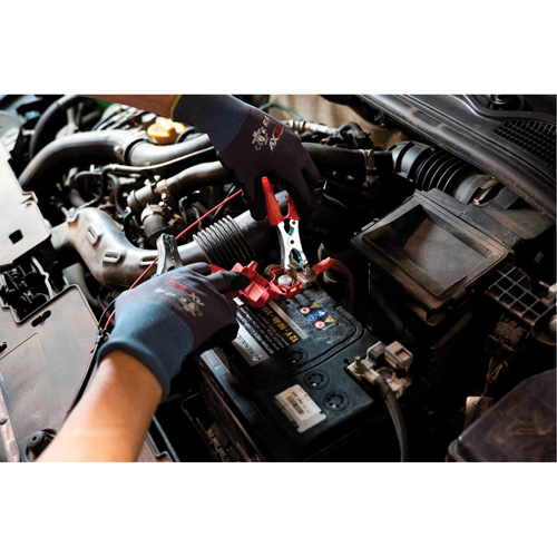 Tall Frame Brake-Pro Pressure Brake Bleeder with Adapters Distribution Élite MP