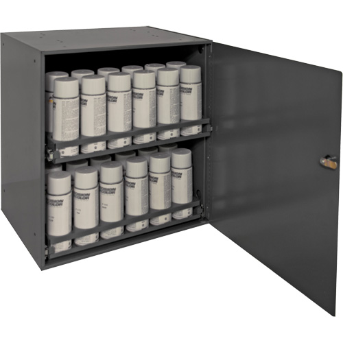 Armoire de rangement pour contenants a&eacute;rosol, Acier, 21-7/8" h x 15-15/16" la x 20-5/16" P, Gris Distribution Élite MP