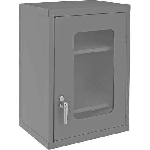Armoire de rangement murale avec portes transparentes, 26-15/16" h x 18-1/8" la x 13-11/16" p, 2 tablettes, Acier, Gris Distribution Élite MP