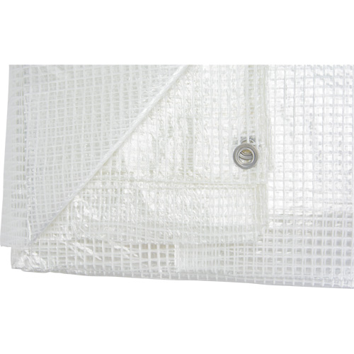 B&acirc;ches transparentes, 20' x 16' x 8 mils Distribution Élite MP