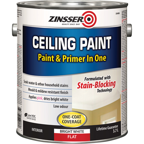 Ceiling Paint & Primer in One, White, Very Flat, 3.78 L, Gallon Distribution Élite MP
