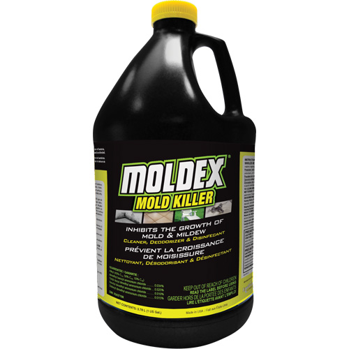 Moldex&reg; Mold Killer, 3.78 L, Jug Distribution Élite MP