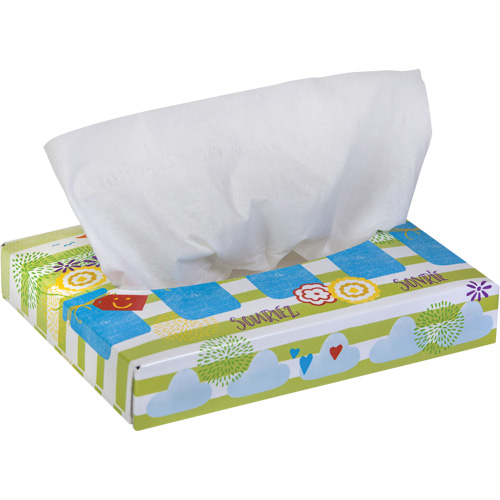 Papiers-mouchoirs pour enfants de Kleenex, 2 pli, 8,4" lo x 5,5" la, 40 feuilles/boîte Distribution Élite MP