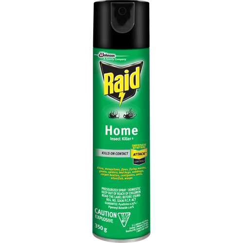 Raid&reg; Home Insect Killer, 350 g, Solvent Base Distribution Élite MP